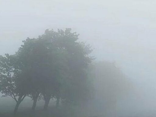 #громадськемісце Мешканців Тернопільщини закликають бути обережними: область накриє густий туман #тернопіль #ternopil
