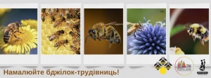 #громадськемісце На підтримку українських бджолярів: у Кропивницькому оголосили дитячий конкурс малюнків #кропивницький #kropyvnytskyi