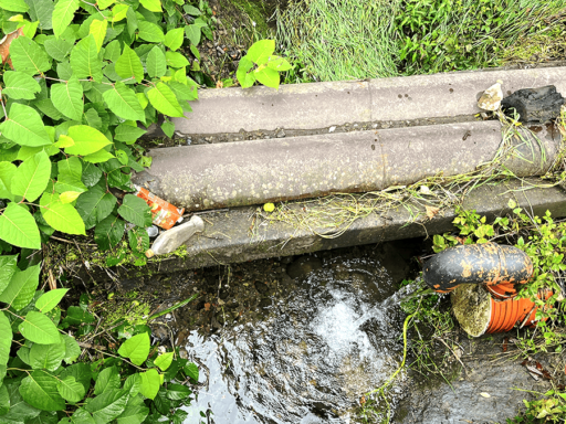 #громадськемісце Пляшки, зламані гілки та побутове сміття: як виглядають річки Млинівка та Радилівка у Коломиї та що про це кажуть комунальники #іванофранківськ #ivanofrankivsk