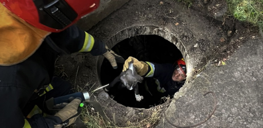 #громадськемісце У Львові працівники ДСНС врятували цуценя, яке впало в каналізаційний колектор #львів #lviv