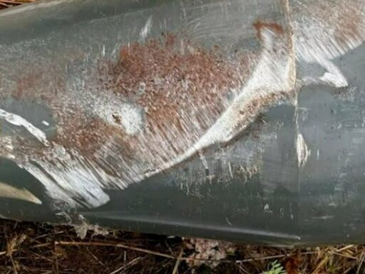 #громадськемісце Вибухотехніки знищили бойову частину ворожого безпілотника: в ній було близько 50 кг вибухівки #житомир #zhytomyr