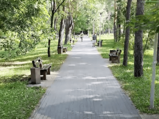 #громадськемісце Японський куточок, хамелеон та залізні дерева: що цікавого у парку «Перемога» #київ #kyiv