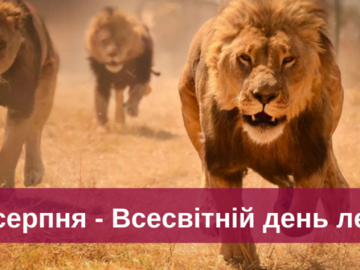 #громадськемісце Десяте серпня: яке свято, подія, чи іменини #іванофранківськ #ivanofrankivsk