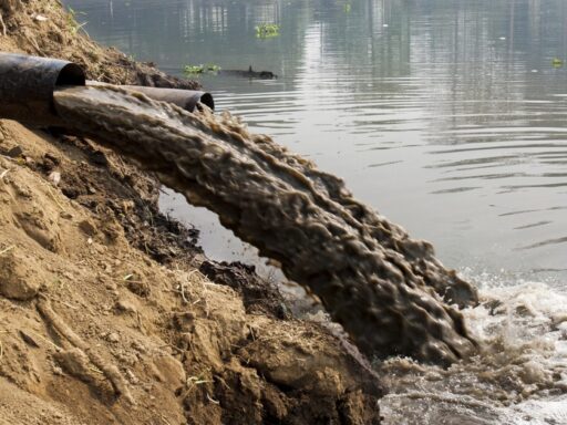 #громадськемісце КП на Миколаївщині забруднило землю стічними водами: його оштрафували #одеса #odesa #odessa #одесса