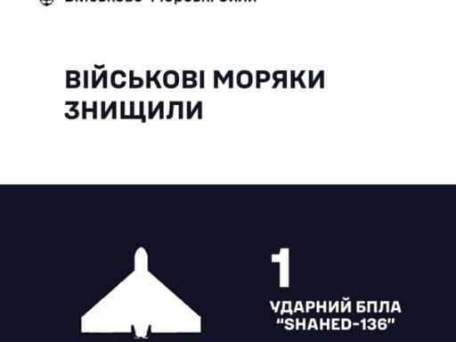 #громадськемісце Ночью 3 августа военные моряки уничтожили «Шахед» в небе над Одесской областью #одеса #odesa #odessa #одесса