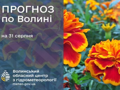 #громадськемісце Погода в Луцьку та Волинській області на завтра, 31 серпня #луцьк #lutsk