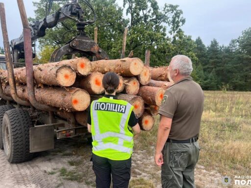 #громадськемісце Поліція викрила двох «чорних» лісорубів на Поліссі #рівне #rivne