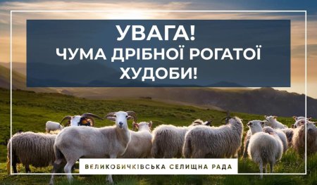 #громадськемісце Увага! Чума дрібної рогатої худоби! #ужгород #uzhhorod