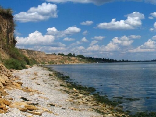 #громадськемісце Village council in Mykolaiv region appropriated land plots by the sea for 8 million #одеса #odesa #odessa #одесса