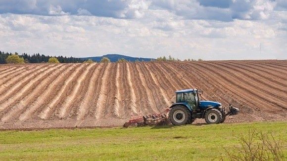 В Україні здорожчала оренда сільгоспземель - Громадське Місце Суми