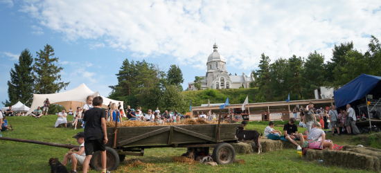 #громадськемісце Етнофестиваль у Гриневі: на що очікувати #львів #lviv