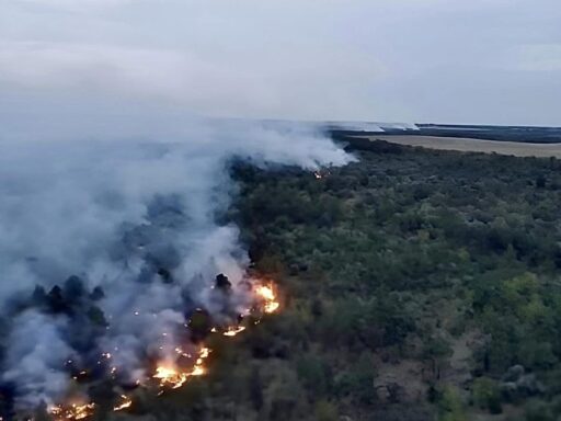 #громадськемісце На Кіровоградщині дві доби не можуть загасити лісову пожежу, яку спричинила російська ракета. ФОТО #кропивницький #kropyvnytskyi