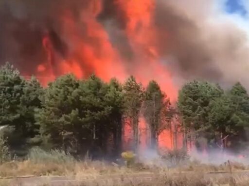 #громадськемісце На Волині горіли суха трава та чагарники #луцьк #lutsk