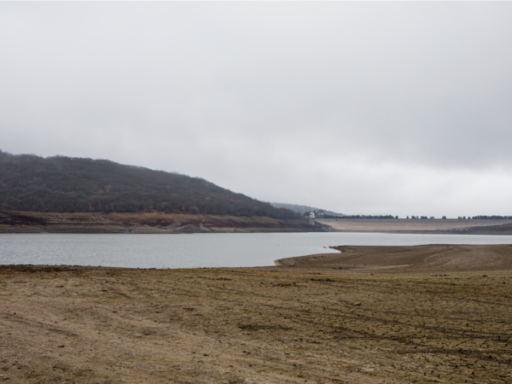 #громадськемісце У Криму пересохли дві річки, це припинило приплив води до двох водосховищ – російські екологи #крим #krym #crimea #крым