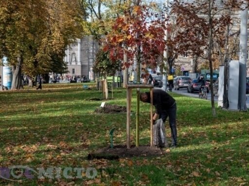 #громадськемісце У Львові почалася акція «Подаруй місту дерево». Як приєднатися #львів #lviv